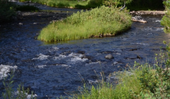 �ε�����˾������Ǯ Ҫ��ǿ��ְҵ������