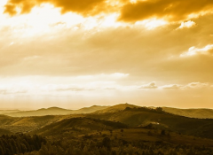 ǳ̸�Ա�֢�İ��֣�Ӧ����ζԴ��Ա�֢