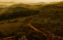 ��ţ���Ļ�����ô������ţ�������ڻ�����Ҫע��ʲô