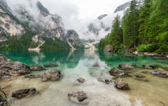 ���������ƣ�����ÿ���˶��ܿ�