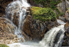 �ε�������������������ʾ����ʶ�����Լ��Ĳ���