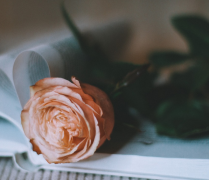 �ε����ټ����ʽ��ĸп� ˼�������ͻ�����ѡ��