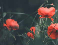 ��������ǲ��Ǿʹ����������ͣ������Ļ������о��ѵĿ���