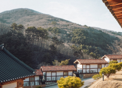 83��������˵Ļ������û����Ҹ����ؾ�