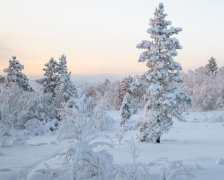 ����Ҫ�����𣬴�����Ҫ���⣬�����ķ�����4��