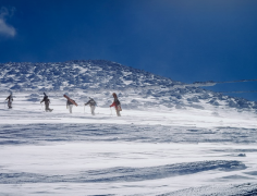 �ε����ڵ�ץ���˵��������� ���Ԥ����ج��