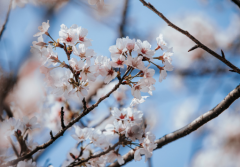 男女八字合婚方法,测试两人是否能幸福的重要方法