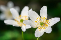 免费测两人八字合不合,通过八字预测婚姻情况