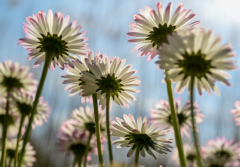 元辰煞什么意思,是四柱十煞中的一种恶煞,主要有这些危害