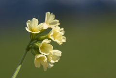 怎么算自己的生辰八字,先用干支法找出四柱再看五行