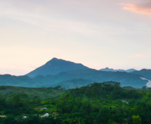 ��������ɷ��ͨ�����ֿ������� ����������ֻ��ܵõ���