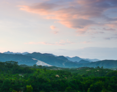 �Ĳ����ǵ�������ʲô����������Щ����