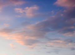 �Ĳ�������Ʒ����Щ����Щ���ʺ����