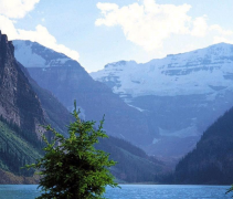 �Ĳ�����������ã��������ط�����