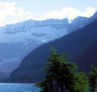 �µ¹��������������ã�һ������һ��