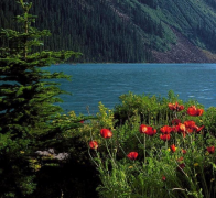 �µ¹���Ů����Ů��������