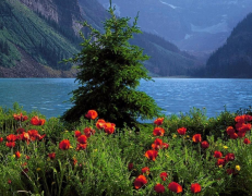 Ů������Ե�ֺã�ͨ��������������