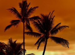 如何从八字看你俩配不配 原来好姻缘都是这样看出来的