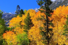 姻缘迟迟不来如何化解,三种方法看看能否助你化解焦虑