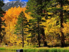 遇上这些好色男八字要及时止损 不然被骗财又骗情