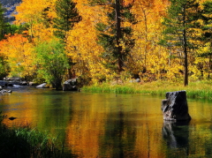 一见钟情的金牛男和白羊女的婚姻,值得珍惜吗