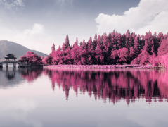 男女双方看婚姻合不合怎么看,好的婚姻都离不开这几点