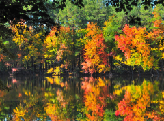 什么是生肖合婚表,它准确吗