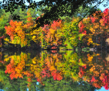 ��Ļ�������Ϊʲô��˳��������ȱ����һ��