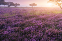 Ϊʲô���������������� ���ǺܻᾭӪ����