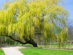 ��Ů�࿴���Ҫ��ʲô��������ȱһ����