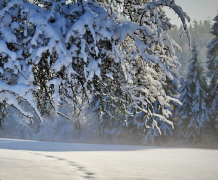 ��������ʲô��̽���������ĺ��������