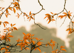 Ů���μ�����ò����� �������������