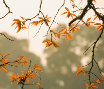 ������Ľ������ף�����ǰ��׼������