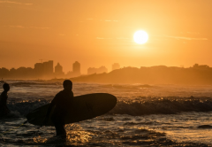 ��������Щ���׻����ЩΪ��������������յĽ�Ŀ