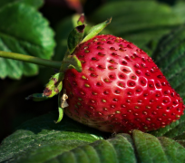 ɽ�����ݵ���ͷ�ó����������ͷ��ʲô��ɫ