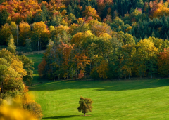 ɽ������ʳ�ص㣬ɽ����ϲ�������ܳ�����