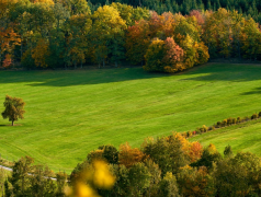 ��ʳ�Ļ��ļ򵥽��� �˴��ϵ��ϲ����һ��