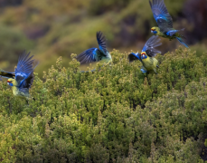 ��ʮ�Ľ����У�ʲô���մ�����������