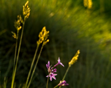 ���ݾ����ǲ��Ǵ��������ģ������߽����ݵķ�չ�����˽���ݵĴ�ʼ��