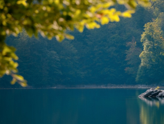 �����ѽڵ���������ѽڶ���ʲô��ʽ