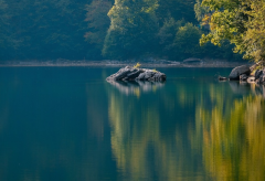 ���˺������⣬ɽ����ʲô��Ϊ��