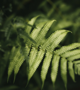 83�������Ļ���״����������θ���83�������Ļ���