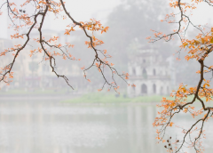 ������Ф��嵼�¸������������ô�죬��Ф��廯�ⷽ��