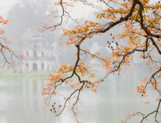 2023�������˵Ĳ��˺ò��� �����֪��ԭ���������ò��˱���