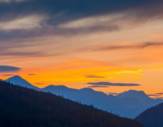 �������������� �����ʺ������ѻ����ʺ�������