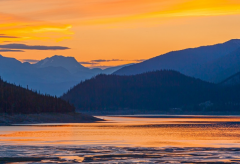 1978���������˻�����ʲô�ض�������Щ��Ф���ȽϺ���