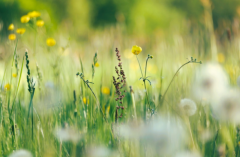 �������ֻ�����ѯ�ھ����������ǵĻ����Ƿ��Ҹ��ܲ��ܹ�һ����