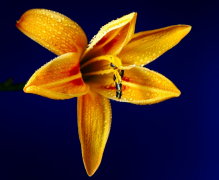 �����˼Ҿӷ�ˮ���� �ܿ����õķ�ˮ�����к�����