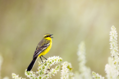 �Ĳ����ǵ�׹�����Ҫע����������