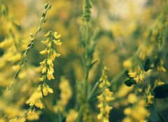 �Ĳ�����ʲô������������һ��Ҫ���